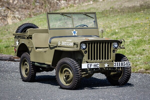 Wojskowy Amerykański Jeep Willis