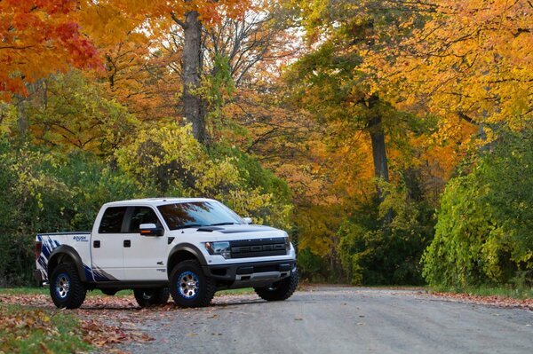 Un SUV dans un Leu à feuilles larges au bord de la route