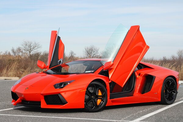 Voiture chic avec portes s ouvrant vers le haut