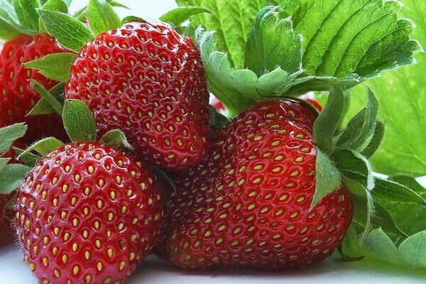 Primo piano di fragole rosse