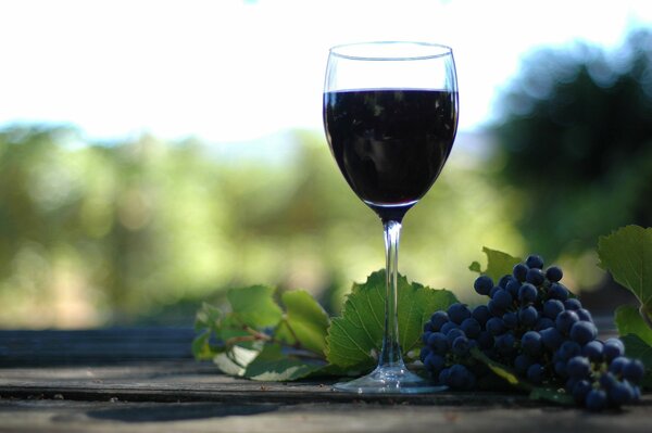 Ein Glas Rotwein auf dem Tisch mit einem Haufen blauer Trauben