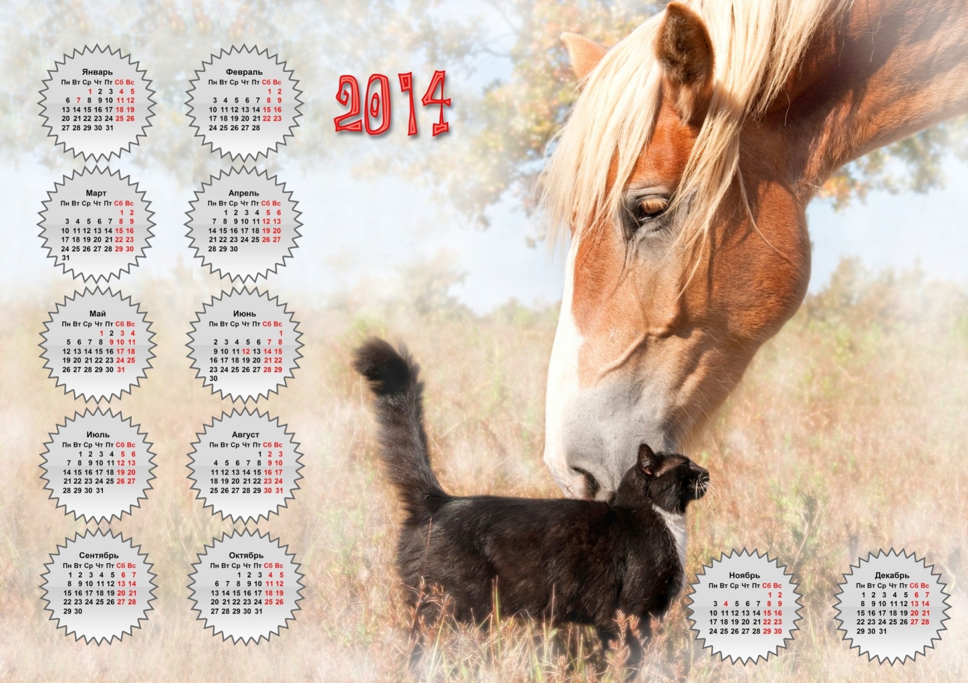 amici calendario gatto cavallo 2014