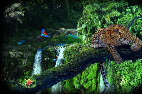 Leopard resting on a branch