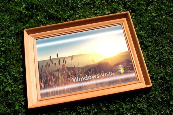 A frame on the grass with the image of Windows Vista