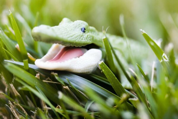 Sull erba verde si siede un giocattolo coccodrillo