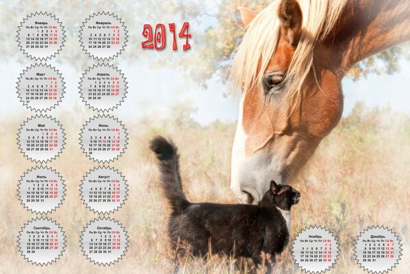 Calendar of two friends a cat and a horse