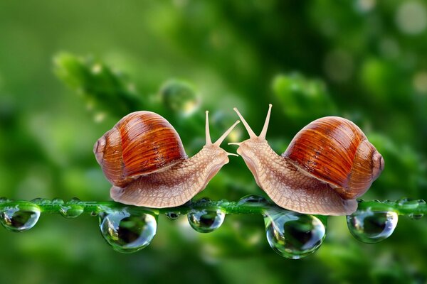 A couple in love on water crystals. meeting