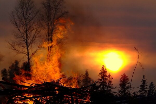 Die Flamme des Feuers brennt. Sonnenuntergang