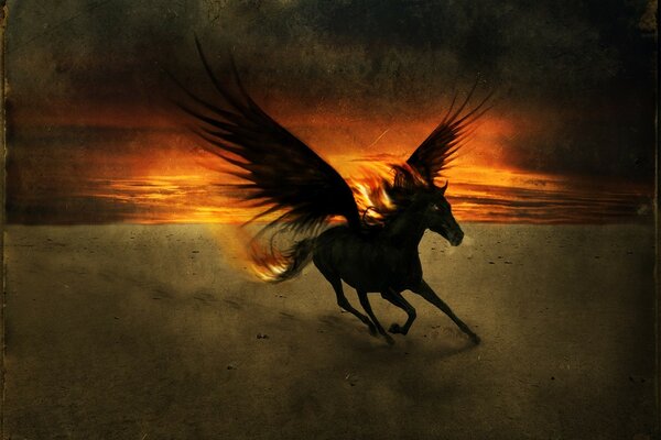 Le cheval noir est Pegasus. Silhouette sur fond de coucher de soleil