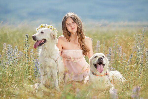 Cute girl sitting on a field with two dogs