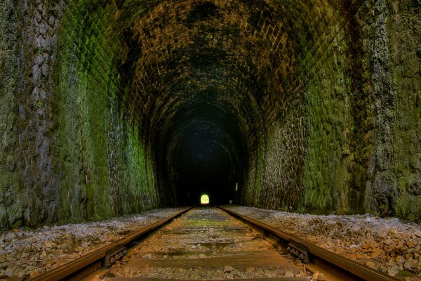 Przerośnięty tunel z szynami i światłem przed nami