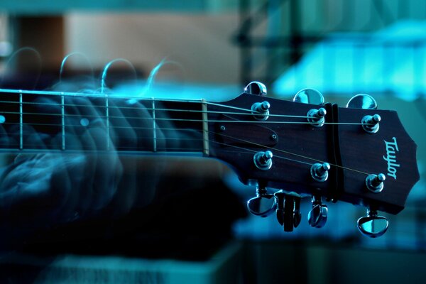 The guitarist plays the plume instrument