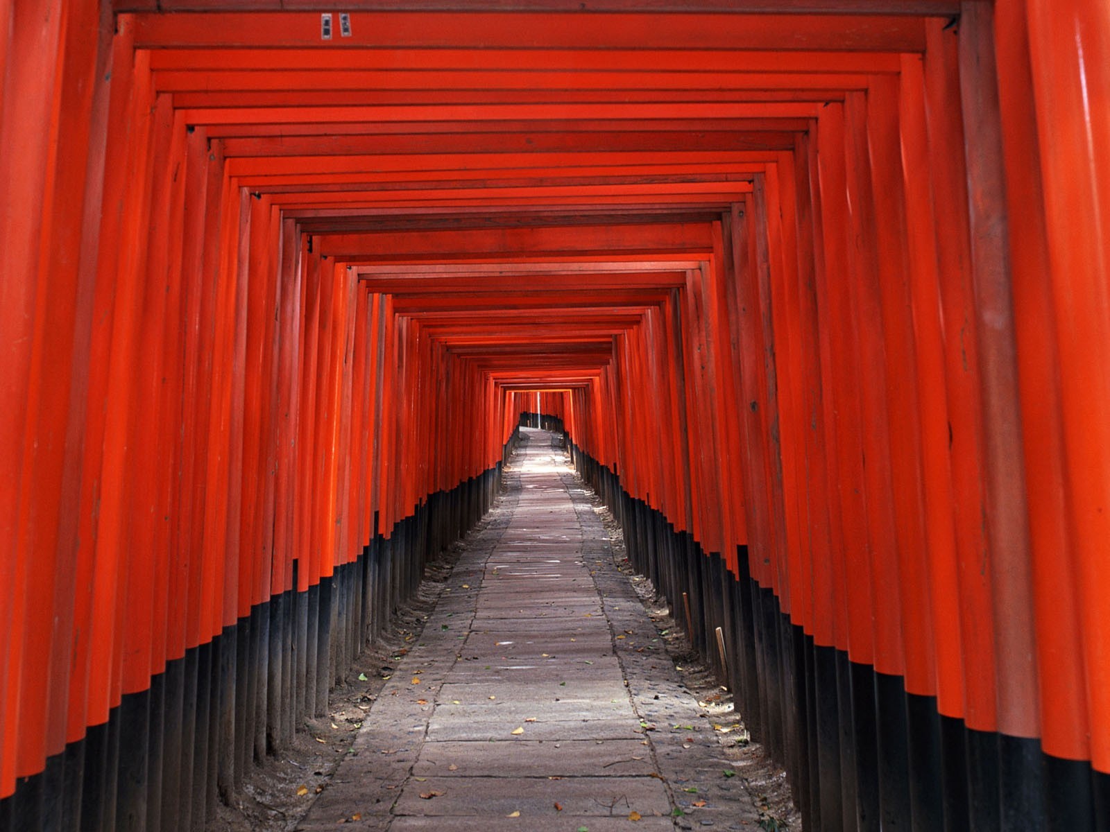 japan corridor red