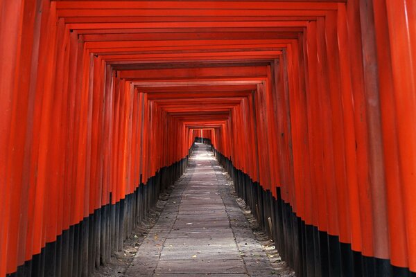 Red and black square corridor made of bars