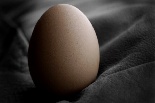 El primer plano del huevo se encuentra en una tela gris
