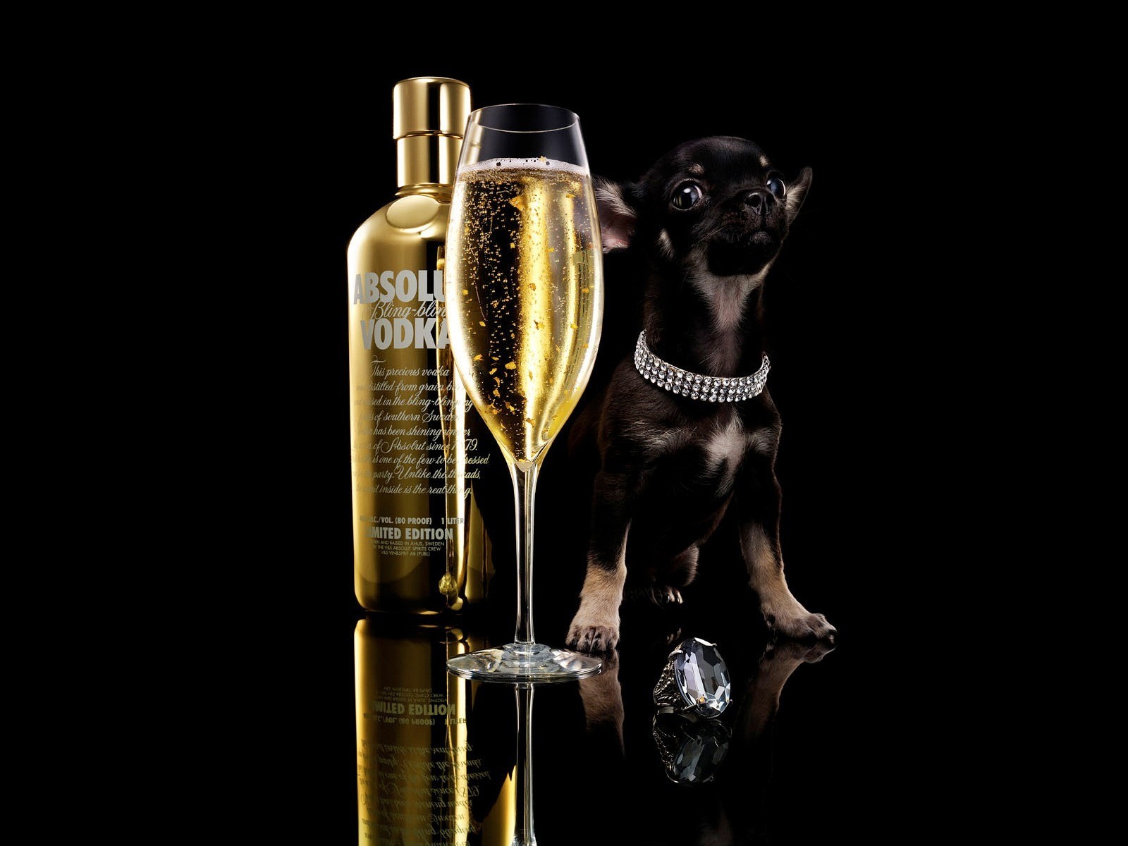 absolut dog gla