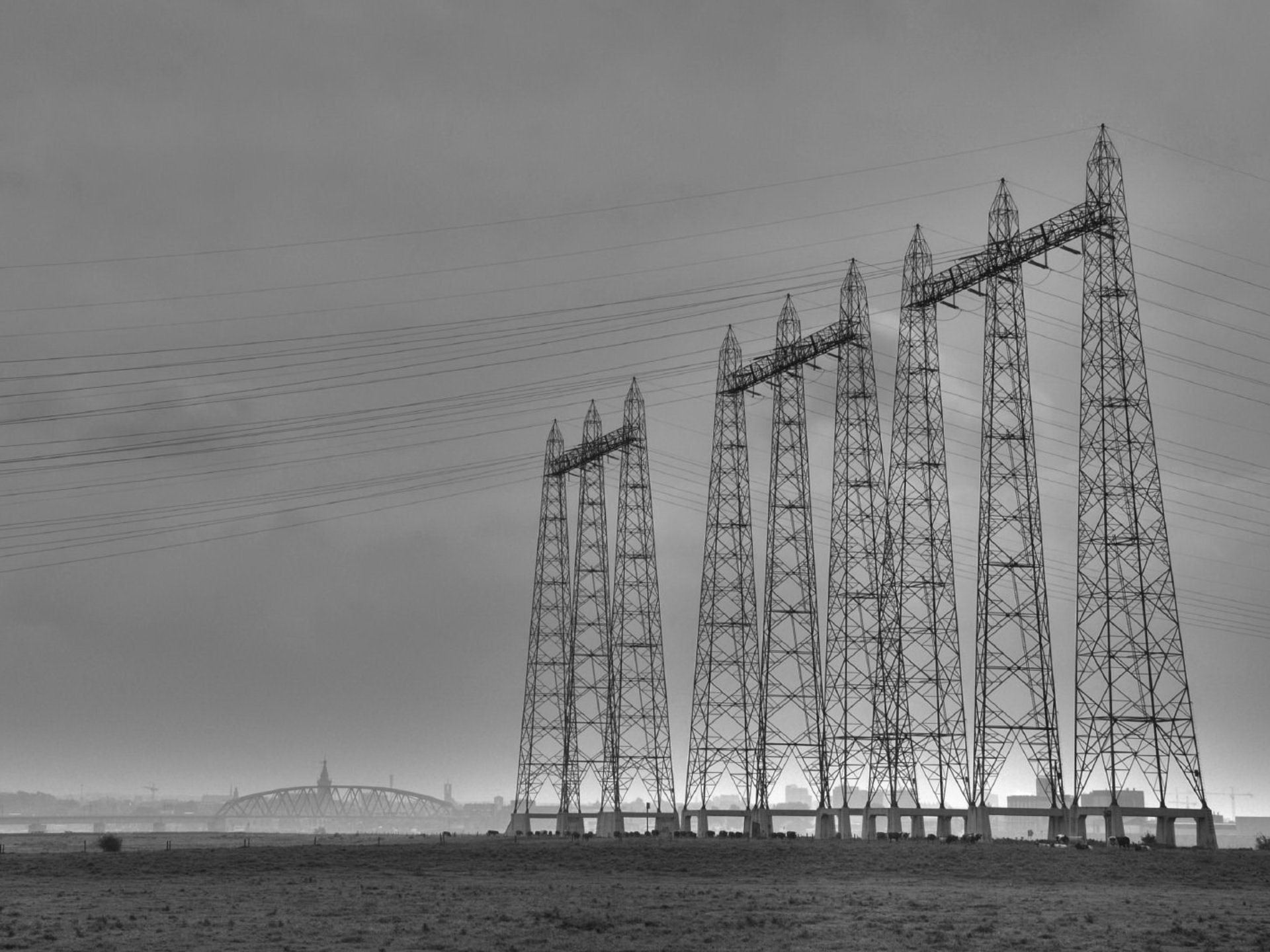 blanco y negro línea eléctrica