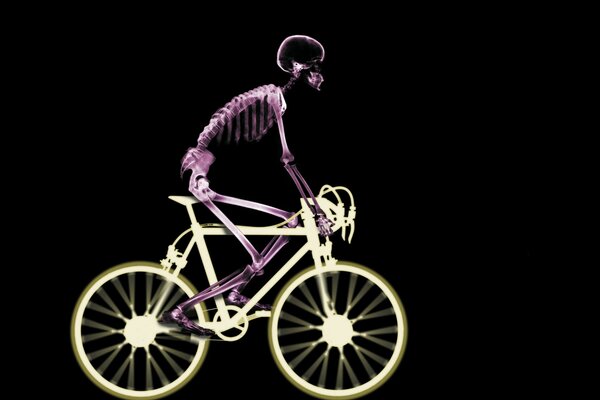 Image of a skeleton riding a bicycle