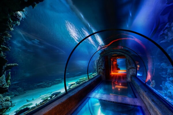 Beautiful water passage aquarium