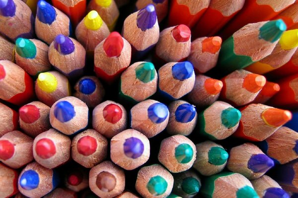 Multicolored pencils sharpened vultures