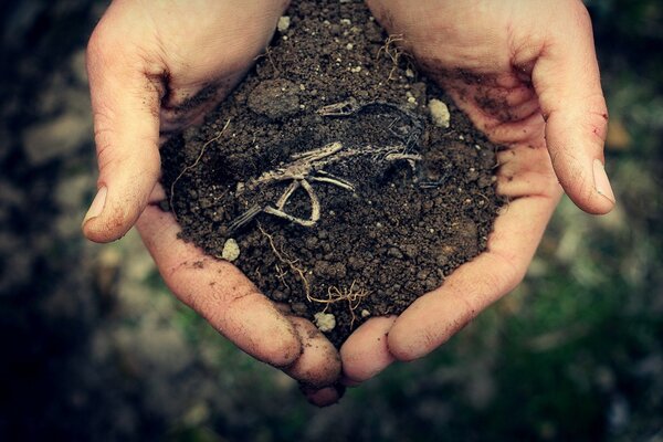 A handful of earth in the hands of a man