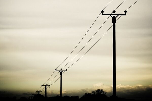 Electric poles on the background of sunrise