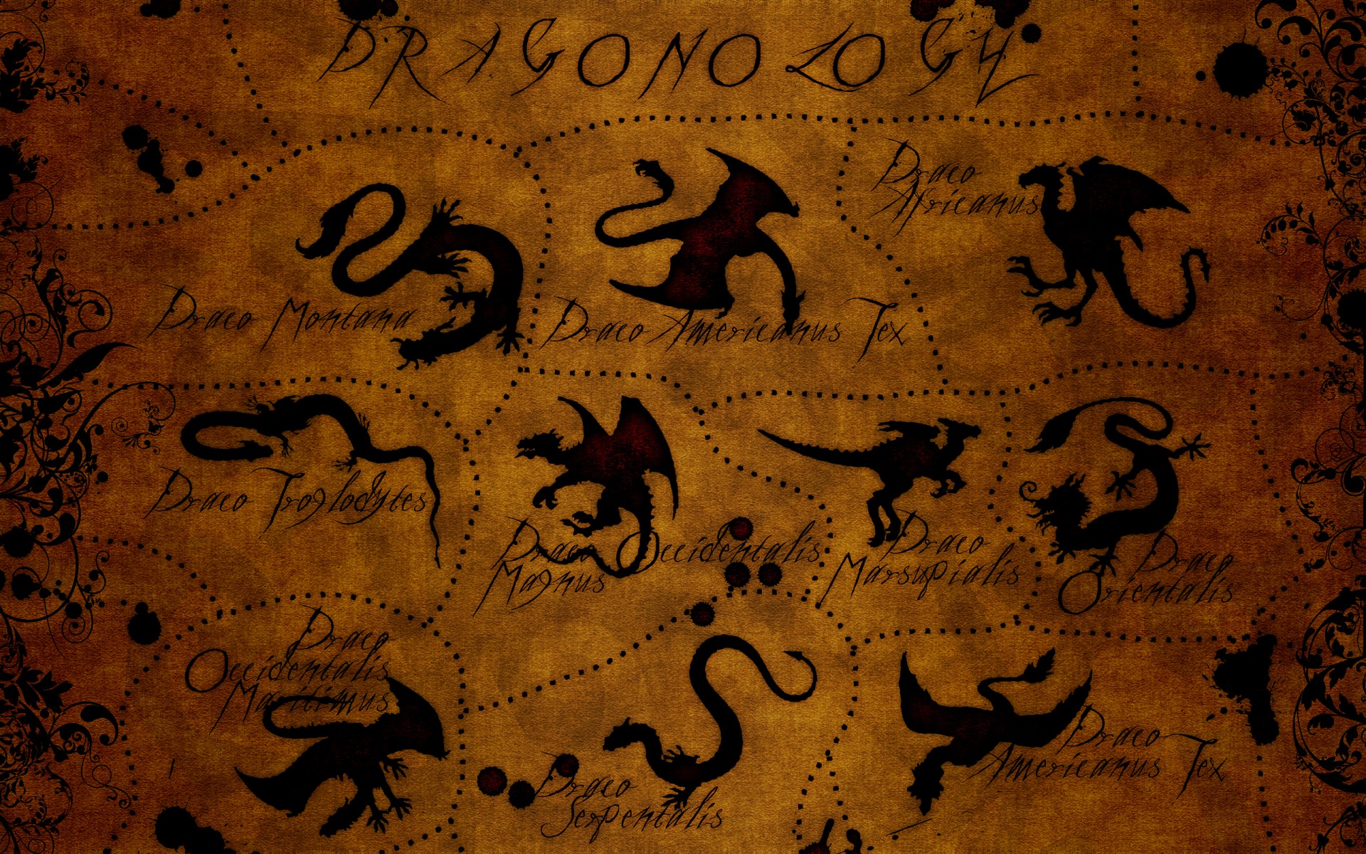 dragón mapa abstracto letras