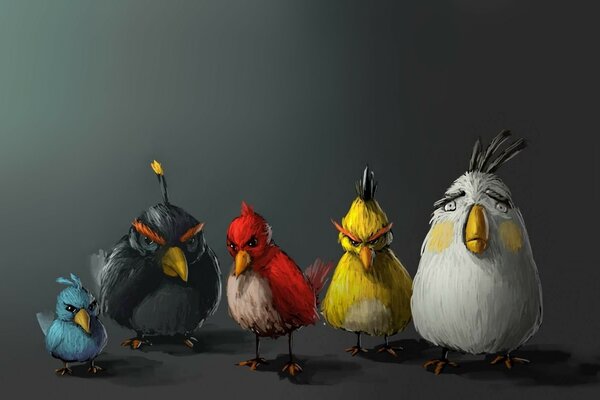 Cinco pájaros de angry birds sobre un fondo gris