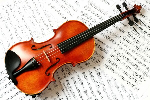 The violin lies on the sheets with notes