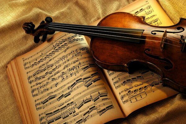 Livre de notes pour apprendre le violon