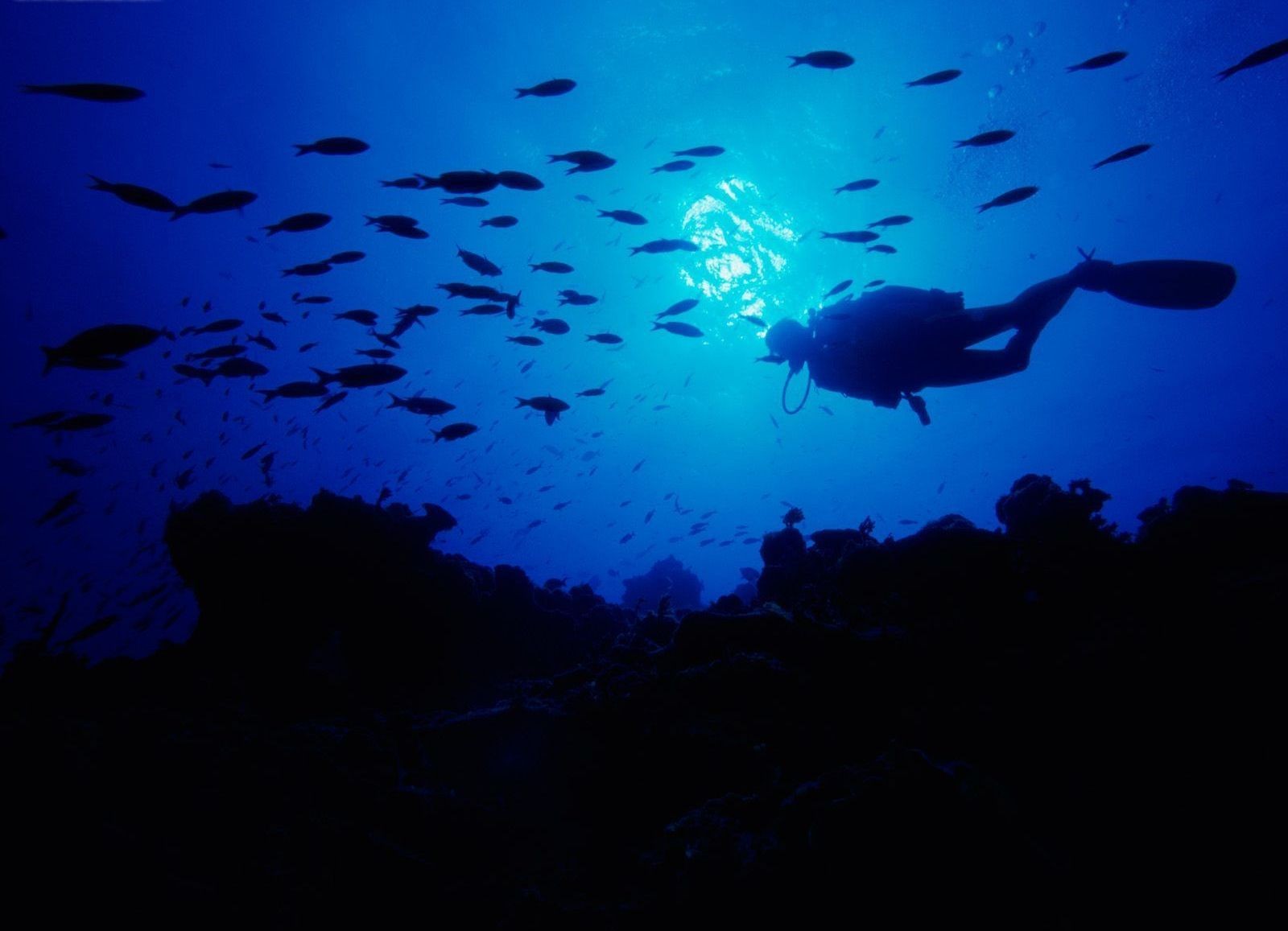 diving sansalvador bahama