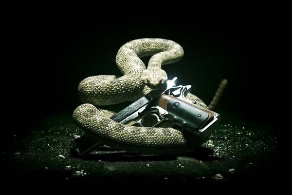 Wąż i pistolet-mieszanka grzechotników