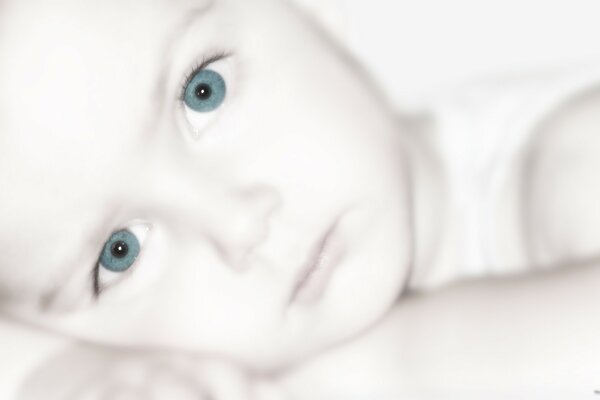 Petit garçon aux yeux bleus