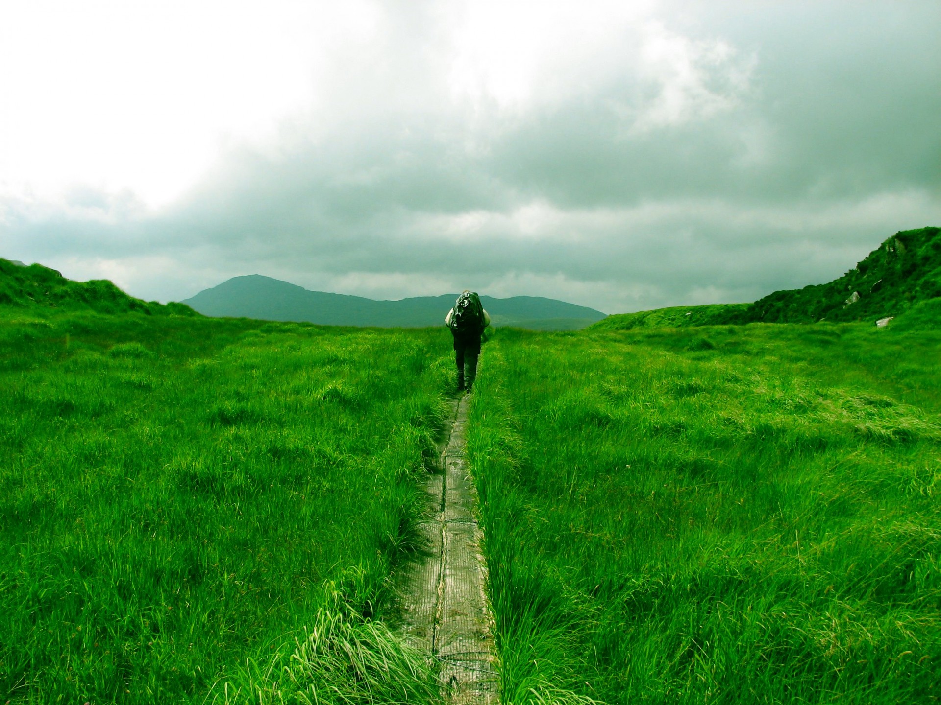 berge wanderweg reisender