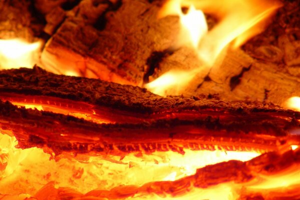 Red-hot wood is burning in a bonfire