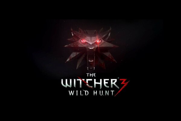 Art for the Witcher Wild Hunt game