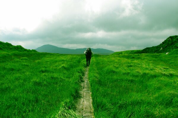 El viajero camina por el sendero entre la hierba verde