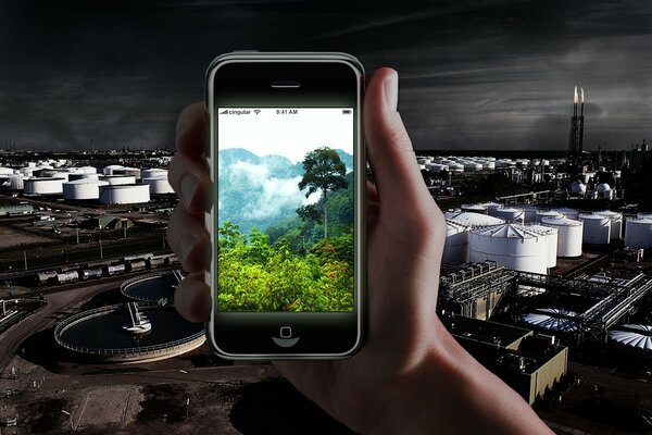 Das Bild der Natur im Telefon vor dem Hintergrund der Produktion
