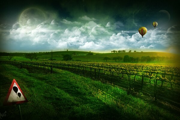 Balloons rose above the green meadows