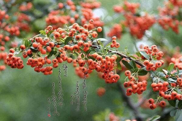 Berries I do not know such an inscription in Sumerian about Satan