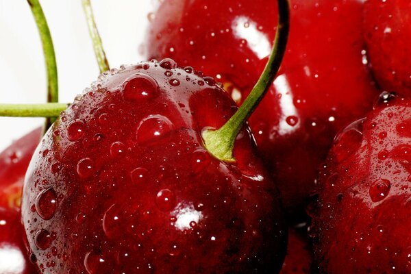 Beautiful photo of cherries with droplets