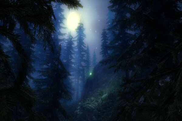 Bosque de niebla nocturna bajo la luz de la Luna