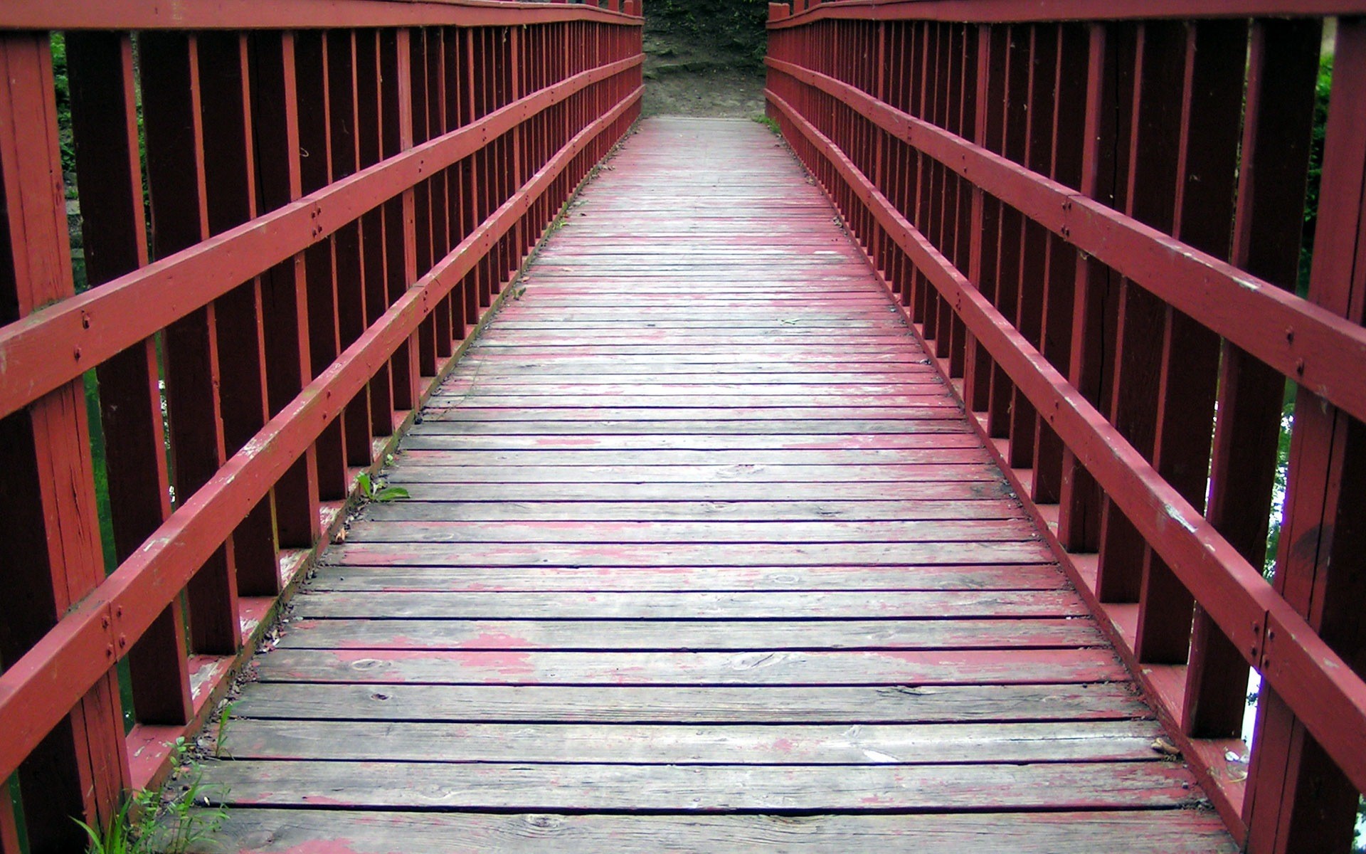 puente camino camino vida