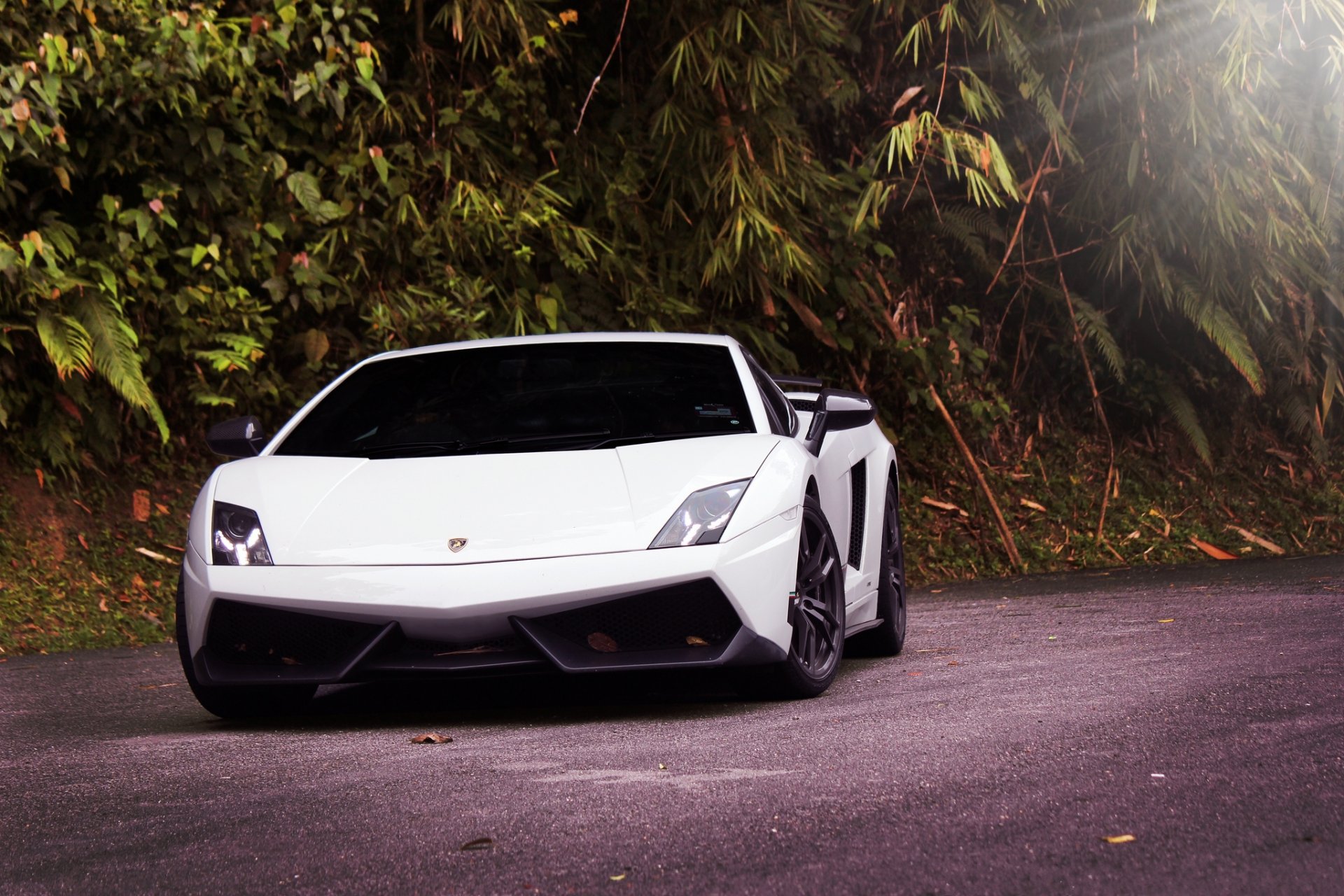 lamborghini gallardo lp570-4 superleggera white lamborghini gaillardo tinted front view headlights road tree