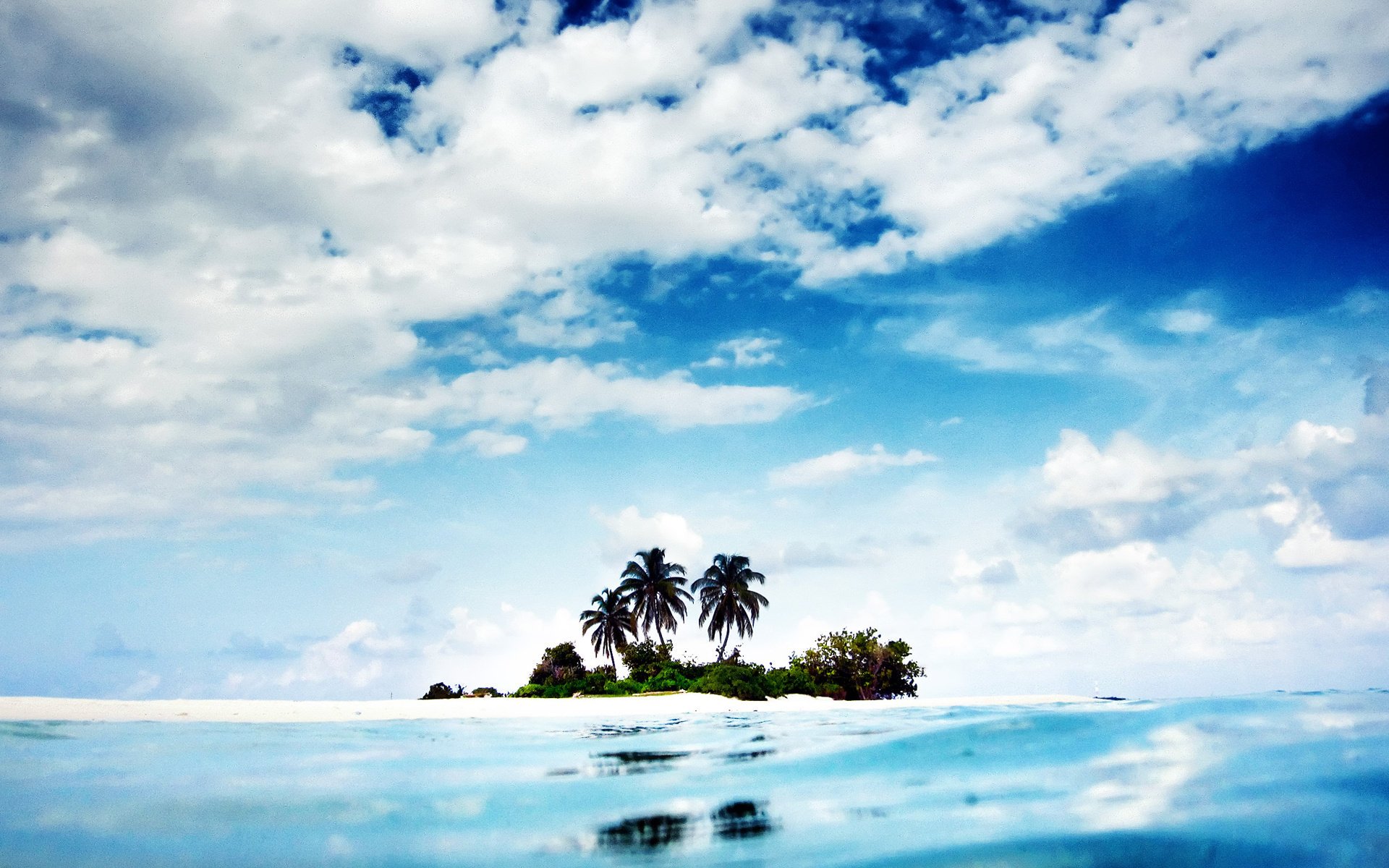 nature océan palmiers île paysage eau ciel