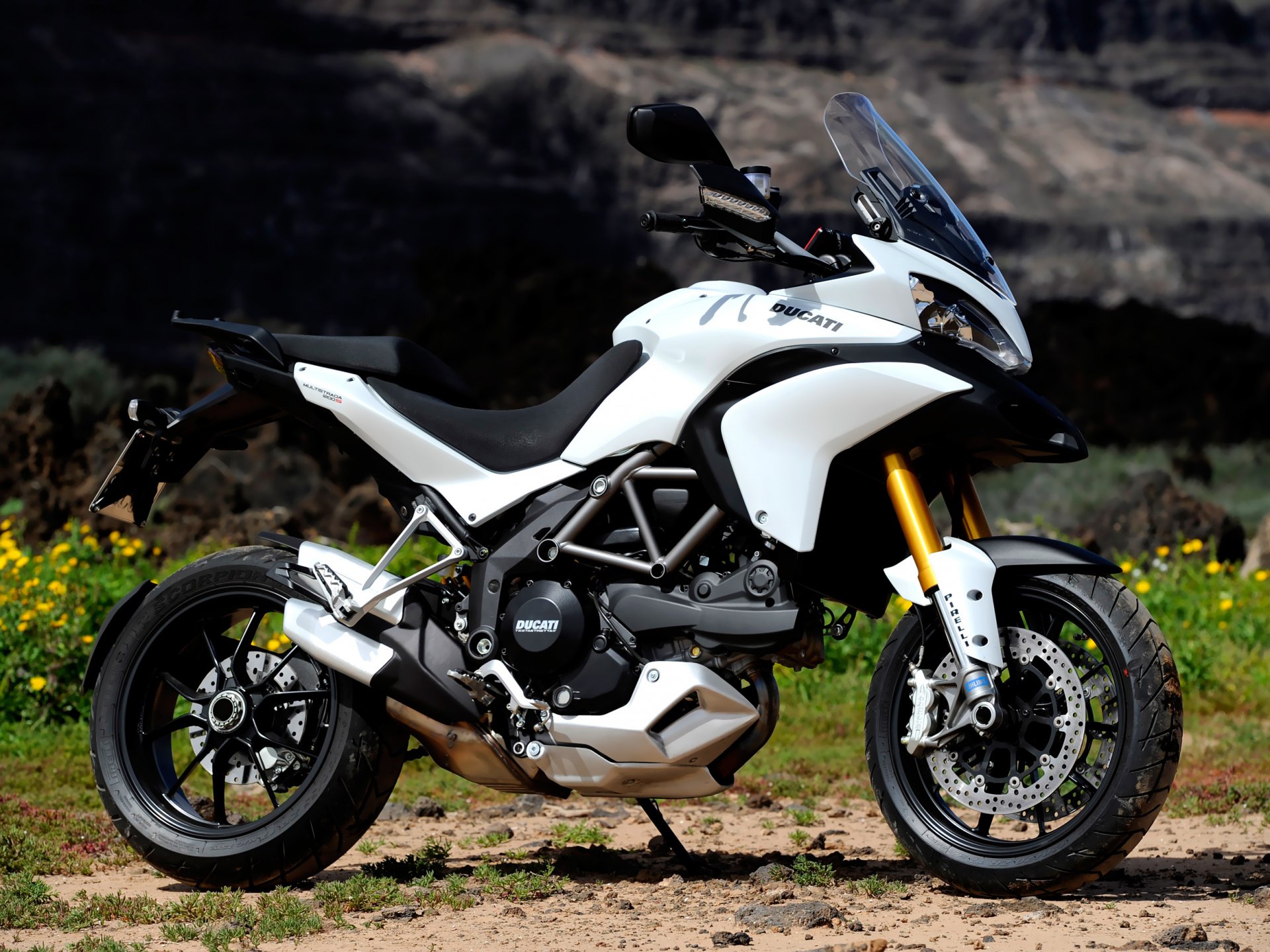 sport moto ducati blanc