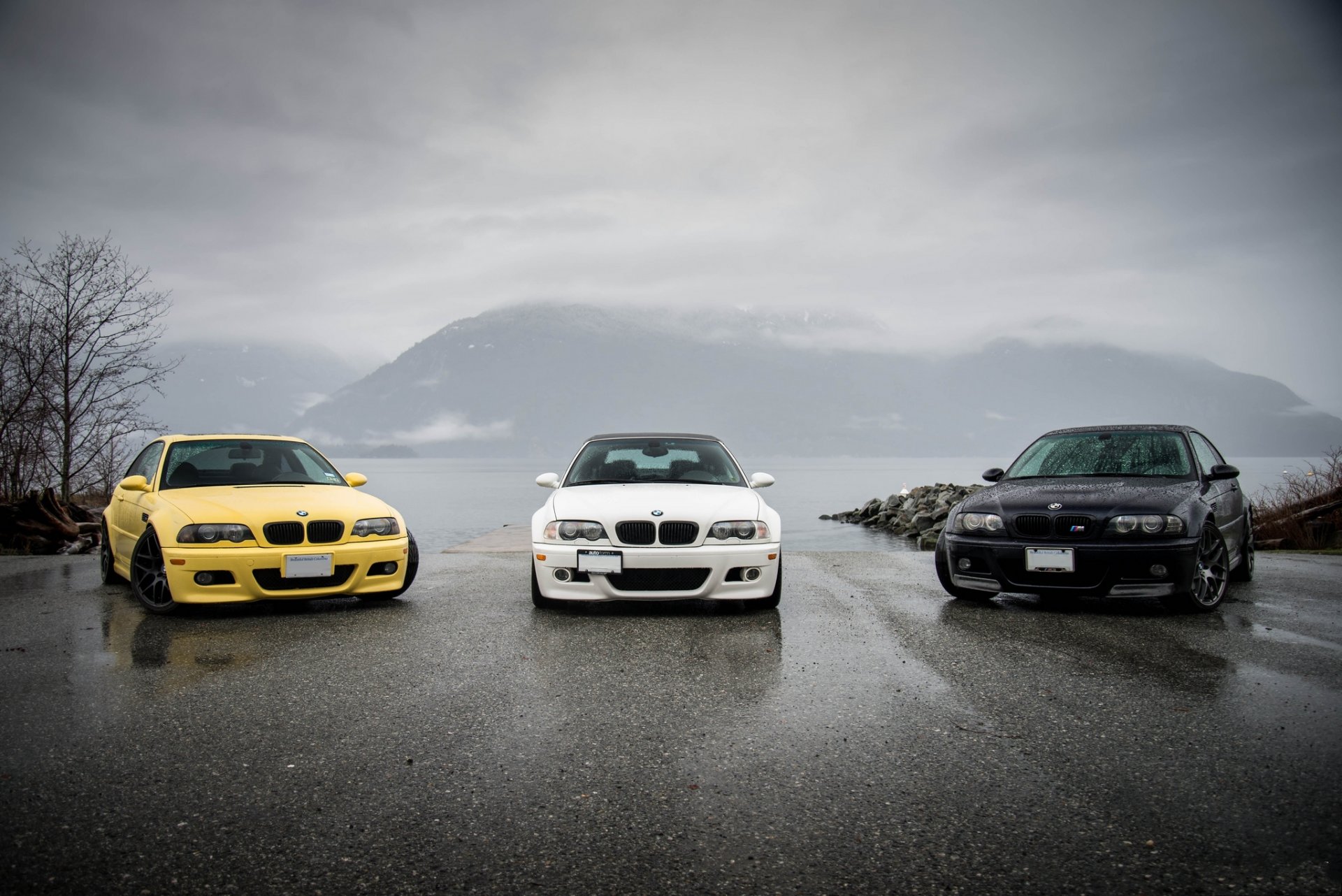 bmw m3 e46 yellow black white bmw front view shadow reflection