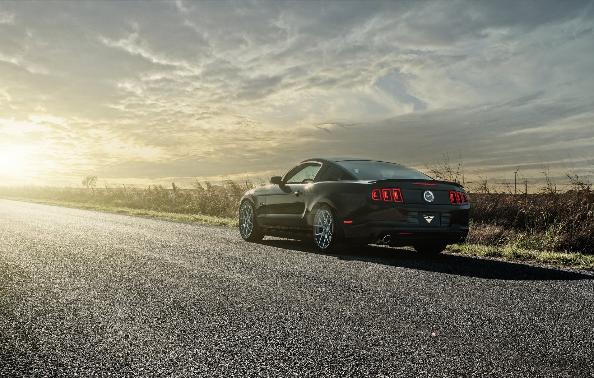 ford mustang gt 5.0 black rear sun road