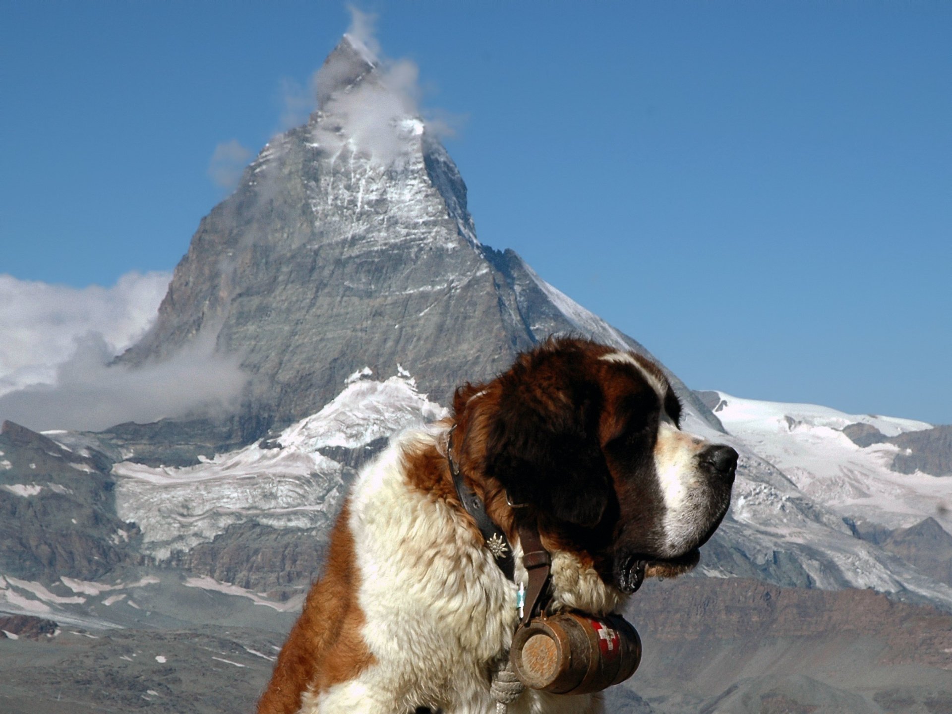 matterhorn san bernardo alpes