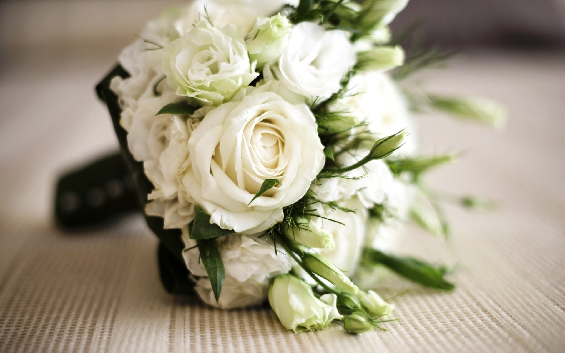 roses roses bouquet blanc